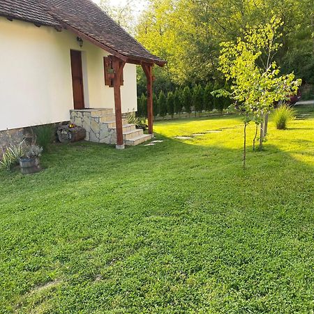 Rudnicki Eko Breg Villa Rudnik Exterior foto