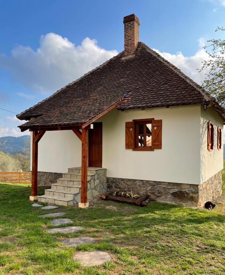 Rudnicki Eko Breg Villa Rudnik Exterior foto