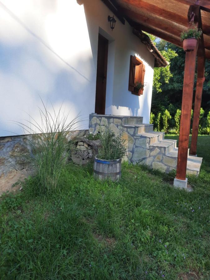 Rudnicki Eko Breg Villa Rudnik Exterior foto