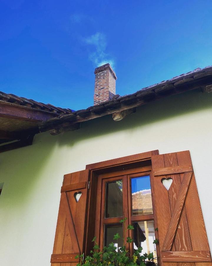 Rudnicki Eko Breg Villa Rudnik Exterior foto