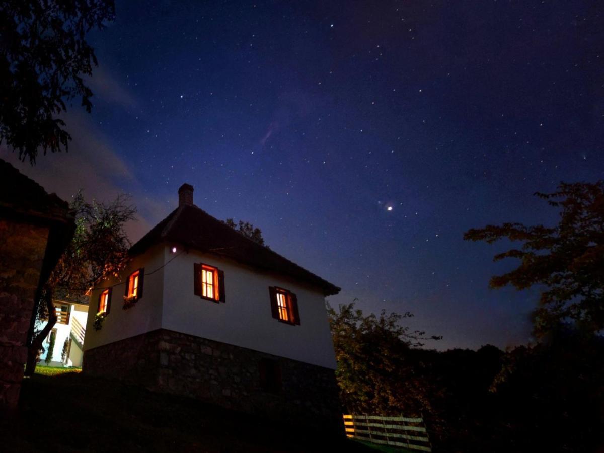 Rudnicki Eko Breg Villa Rudnik Exterior foto